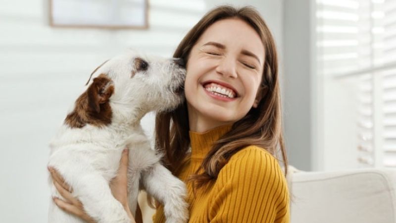 Waduh! Studi Sebut Anak Milenial Lebih Sayang Anjing Peliharaan Dibanding  Ibunya Sendiri! : Okezone Lifestyle - JollyNews